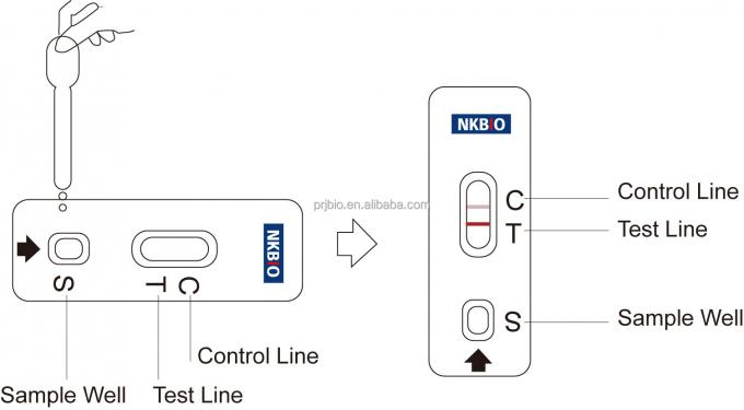 Malachite Green Rapid Test Kit in Seafood Fish Shrimp and Other Aquatic Products