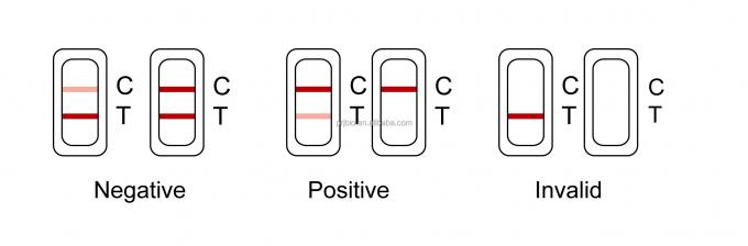 Malachite Green Rapid Test Kit in Seafood Fish Shrimp and Other Aquatic Products