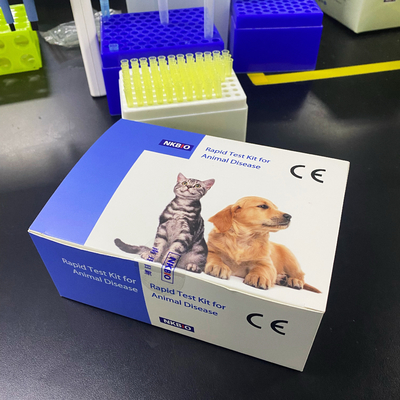 China Cattle sheep goat brucella rapid test kit for animal disease Anigen Rapid Bovine Brucella Ab Test Kit Bovine Brucella An supplier