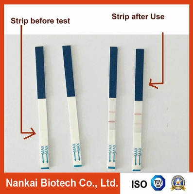 China Tetracycline Test Kit for Milk supplier
