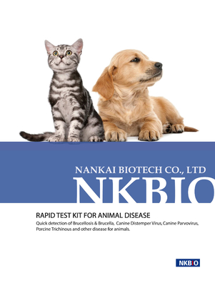 Canine Brucellosis Antibody Test Kit Brucella Canis Test Kit Canine Brucellosis Qualitative Analysis Serum Sample Tester supplier