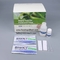 Ochratoxin Rapid Test Kit Total Aflatoxin Test Kit For Corn Wheat Grain Diagnostic Test Kit One Step Test supplier