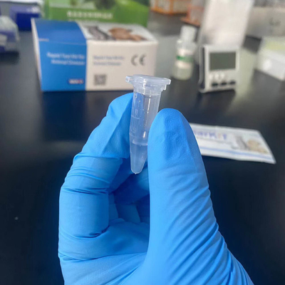 Veterianry Rapid Test Echinococcus Antibody Rapid Test supplier