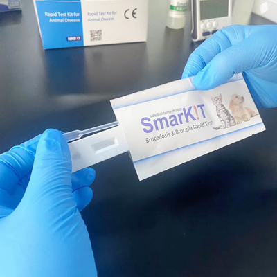 Diagnostic of a Rapid Test Kit for Detecting Canine Distemper Infection supplier