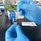Detection of African swine fever virus antibodies in serum ELISA Kits supplier