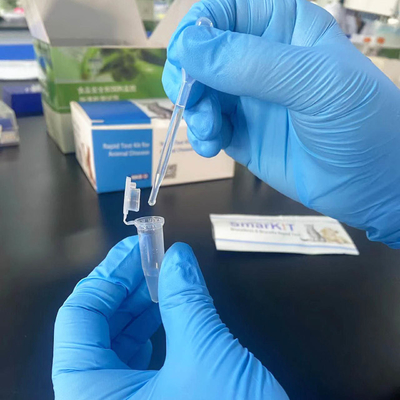 Easy to Operate Echinococcus Antibody Rapid Test  supplier